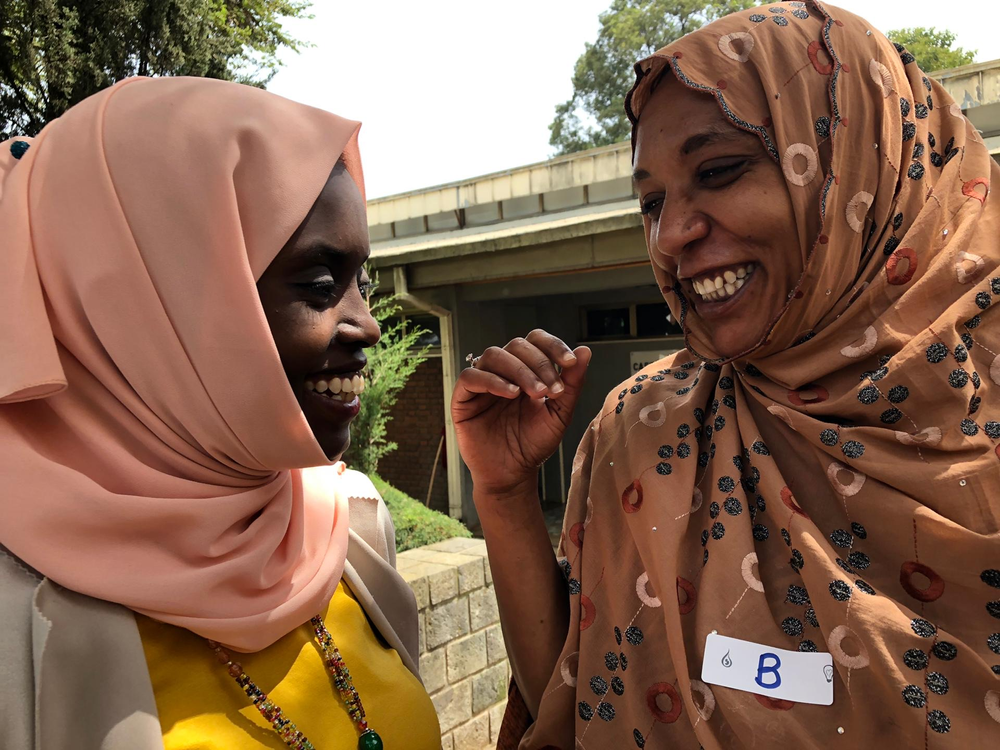 Connecting, supporting and building skills at the Hamlin Midwives Alumni Network Summit