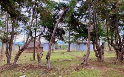 Tanya Murphy reported from rural southern Ethiopia: “The saddest po…
