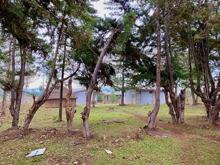 Tanya Murphy reported from rural southern Ethiopia: “The saddest po…