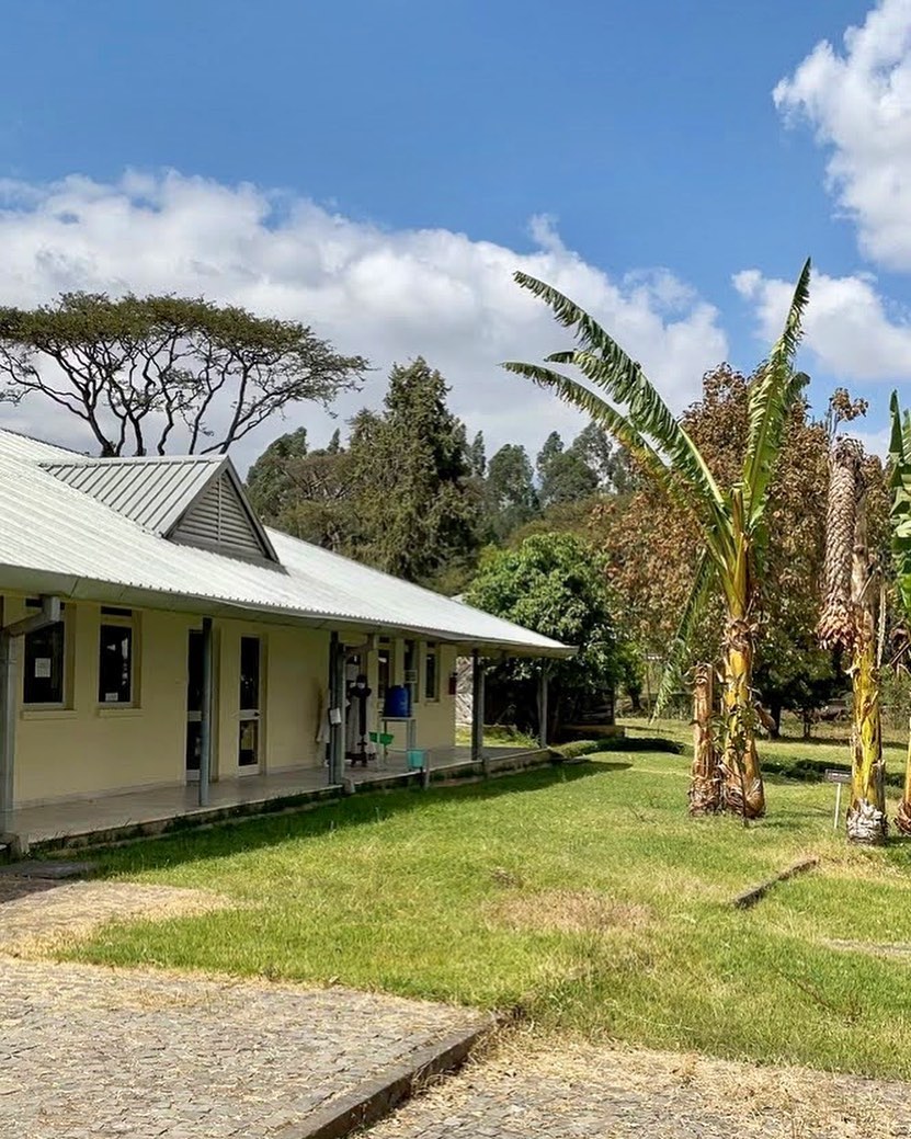 Students live and study at the Hamlin College of Midwives